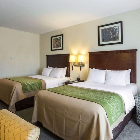 Quality Inn Donaldsonville - Gonzales Екстериор снимка